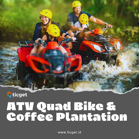 bali-half-day-tour-atv-quad-bike-included-coffee-plantation