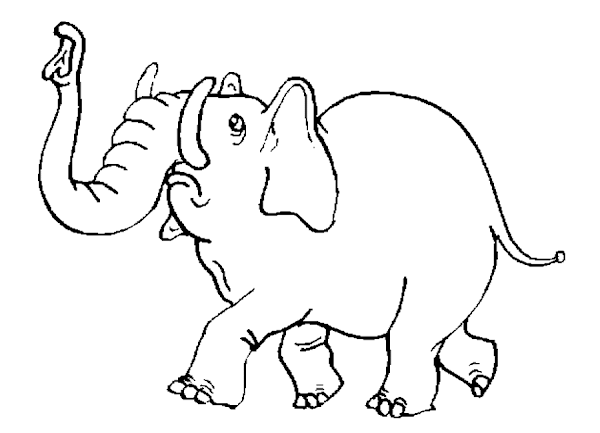 Download Preschool Jungle Animals Coloring Pages - Colorings.net