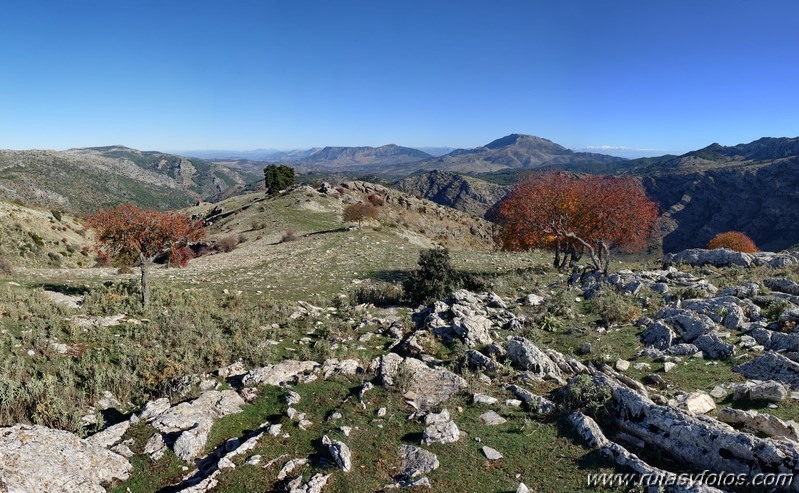 Cornicabral del Valle de Lifa