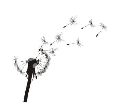 dandelion tattoos. My tattoo idea.