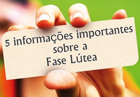 5 informações importantes sobre a fase lútea