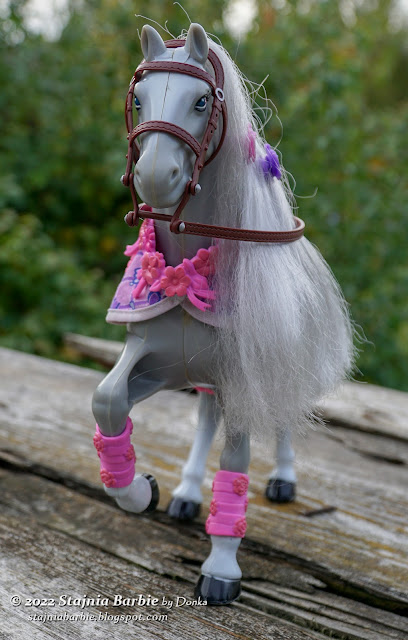 Rex - Lovely Horse by Gloria - with Mattel accessories
