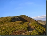 DSCN7054