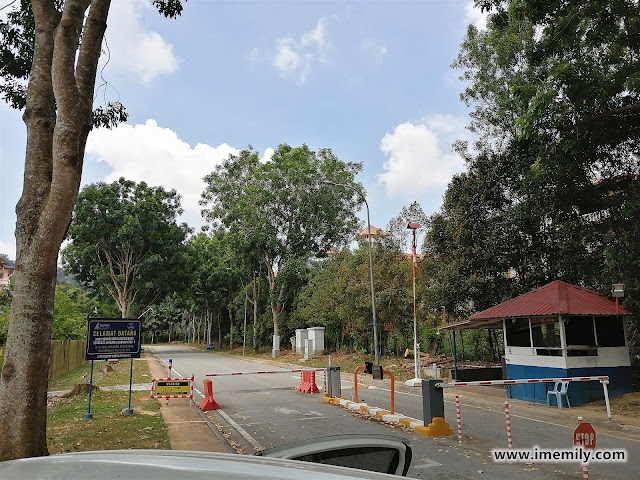 Hiking Bukit Sapu Tangan via Lake Trail