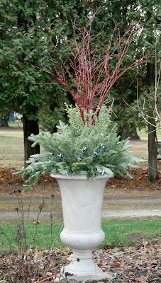 Christmas urn -- The Impatient Gardener