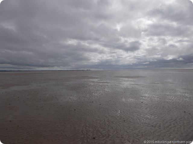elephant trees and morecambe bay 033