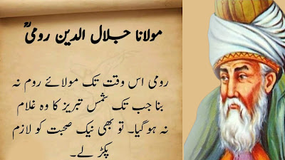 Maulana Rumi Quotes In Urdu