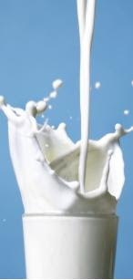 Milk Could Cause Acne