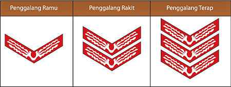 Arti Tanda Kecakapan Umum Penggalang Pramuka Arti Tanda Kecakapan Umum Penggalang Pramuka