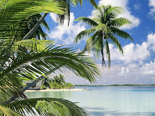 Foto met strand en bomen