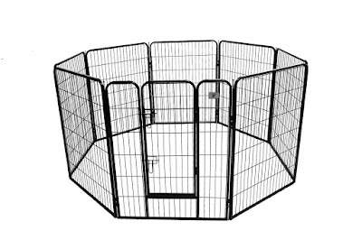 Shelter dog exercise pen for potty training