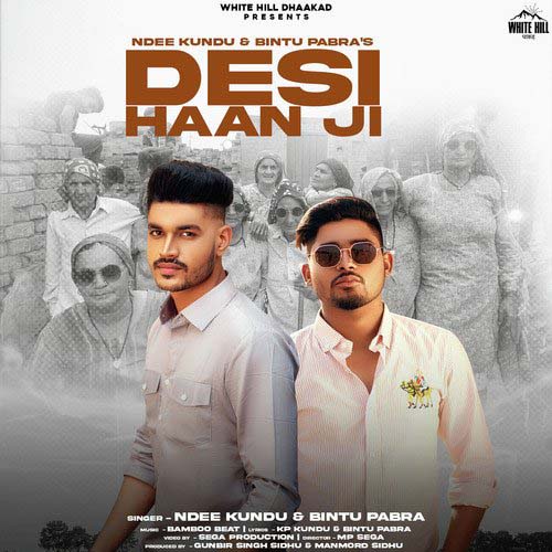 Desi Haan Ji Lyrics - Ndee Kundu & Bintu Pabra