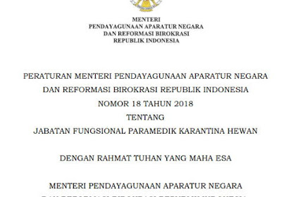 Permenpan Nomor 18 Tahun 2018