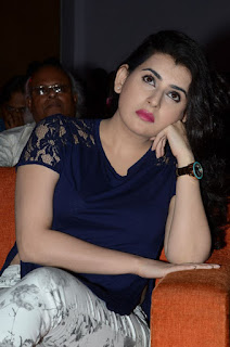 nannu vadili neevu polevule movie audio launch photos
