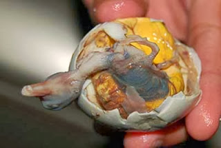 Balut (Kamboja)  