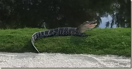 20180628_181330 20180628_181330