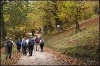 Castagneto Castagneto
