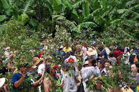 culture, branches, field, men, beating, women