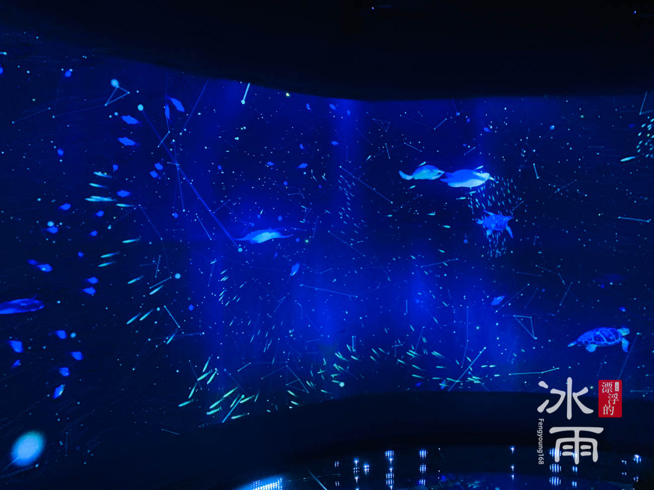 Xpark水族館｜數位牆