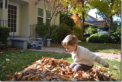 2011-11-12 Fall Photo Session 021