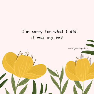 A light pink background with two large, illustrated yellow flowers and green leaves at the bottom corners. In the center, there’s a text that reads “I’m sorry for what I did it was my bad” in black font. At the bottom right corner, there’s a smaller text that reads “www.greetings.live”.