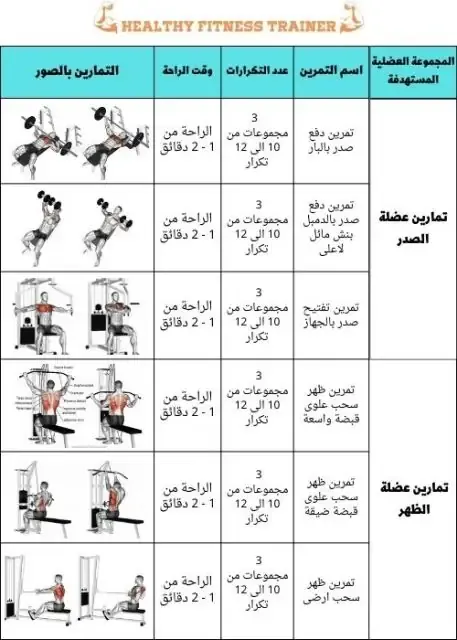 جدول تمارين بناء العضلات للمبتدئين  تمارين عضلات الصدر وعضلات الظهر