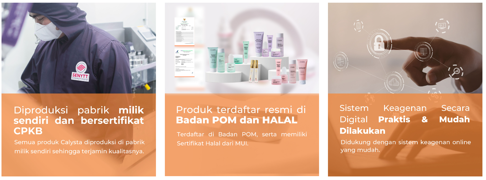 Ingin Menjadi Distributor Skincare Terbaik dari Calysta