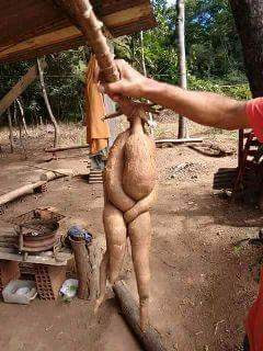 The cassava man is picture of the day!