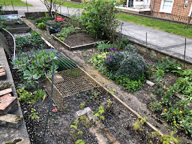 Narrow garden within a low wall, with soil for growing food plants, surrounded by paving.