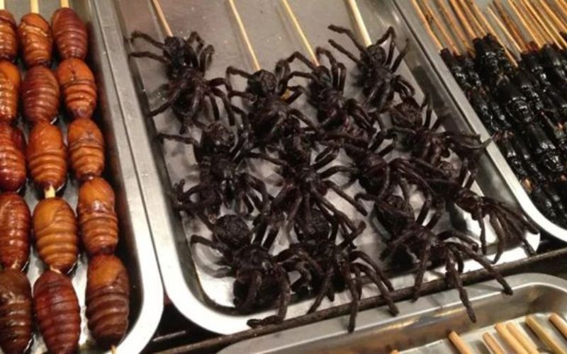 Insects as snacks in china