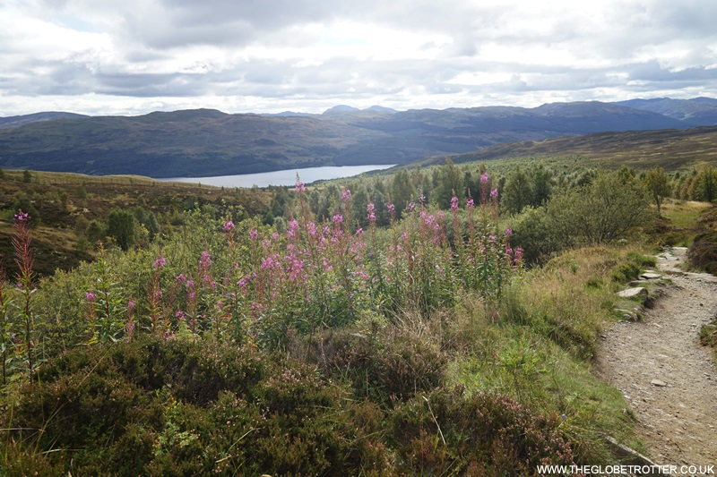 The Edramucky Trail At Ben Lawers