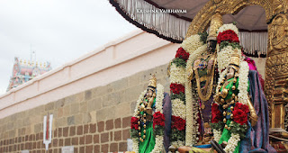 Rohini, Nakshatram Purappadu,Video, Divya Prabhandam,Sri Parthasarathy Perumal, Triplicane,Thiruvallikeni,Utsavam,