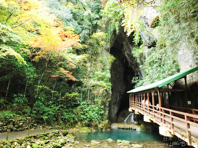 【日本．山口】日本最大鐘乳石洞 秋吉台 秋芳洞｜必去超美天然絕景