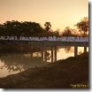 phoca_thumb_m_IMG_9285