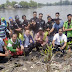 Tengku Erry Tanam Mangrove Di Danau Siombak  