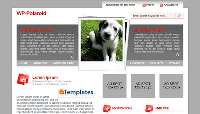 Wordpress Templates To Blogger