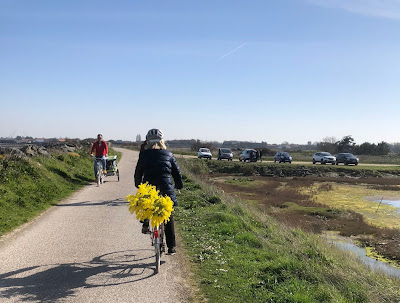 French Village Diaries day out on Ile de Ré by bike