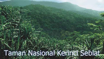 Taman Nasional Kerinci Seblat