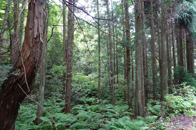 鳥取県米子市淀江町中稲吉