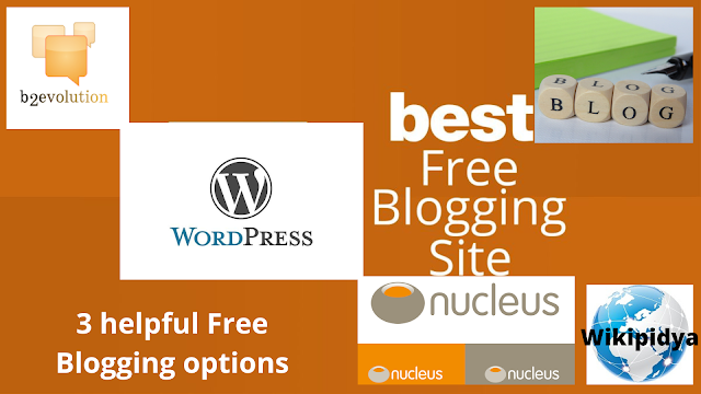 Free Blogging , software system, WordPress, B2evolution, Nucleus Free Blogging, blog, software
