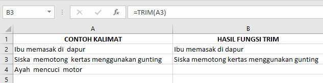 Rumus Fungsi “TRIM” pada Microsoft Excel dan Contohnya