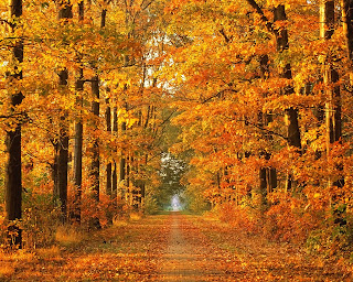 Nature-Autumn-Wallpapers