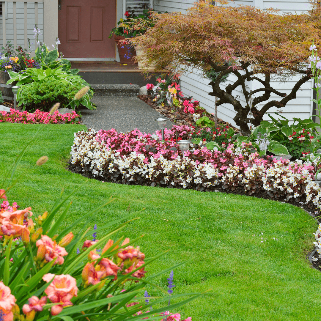 1. Taman Belakang Rumah dengan Rumput Sintetis