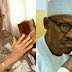 BREAKING!! Aso Rock Covers face in Shame As Mbazulike Amaechi picks Offense, Calls Buhari "A dictator"