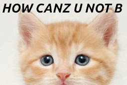 cat meme Cat, meme, quote, funny, humor, grumpy, 62 wallpapers hd /
desktop and