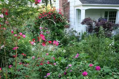 Front Yard Gardening Design