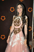 Kanika Kapoor glamorous photos-thumbnail-16