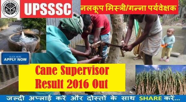 UPSSSC गन्ना पर्यवेक्षक परिणाम 2016 घोषित