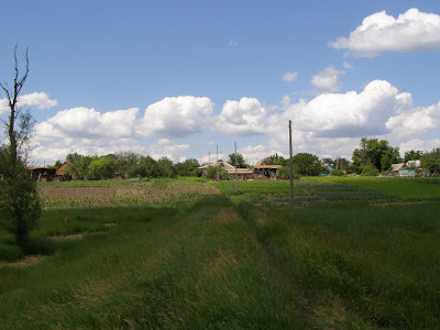 Запорожская область, село Н. Ивановка