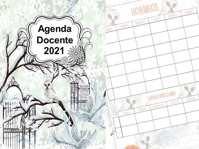 Agenda Docente Lechuza 2021 - 177 páginas